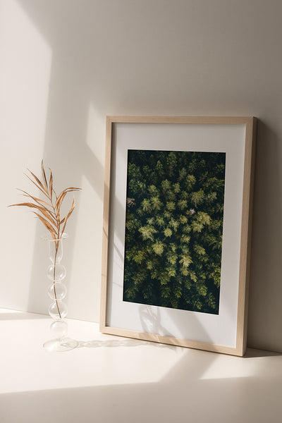 てぃんくる★MISSING IN FOREST★版画 2025年最新】てぃん 版画の人気アイテム - メルカリ