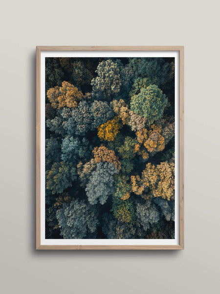 AerialNatureArtPosters_grande.