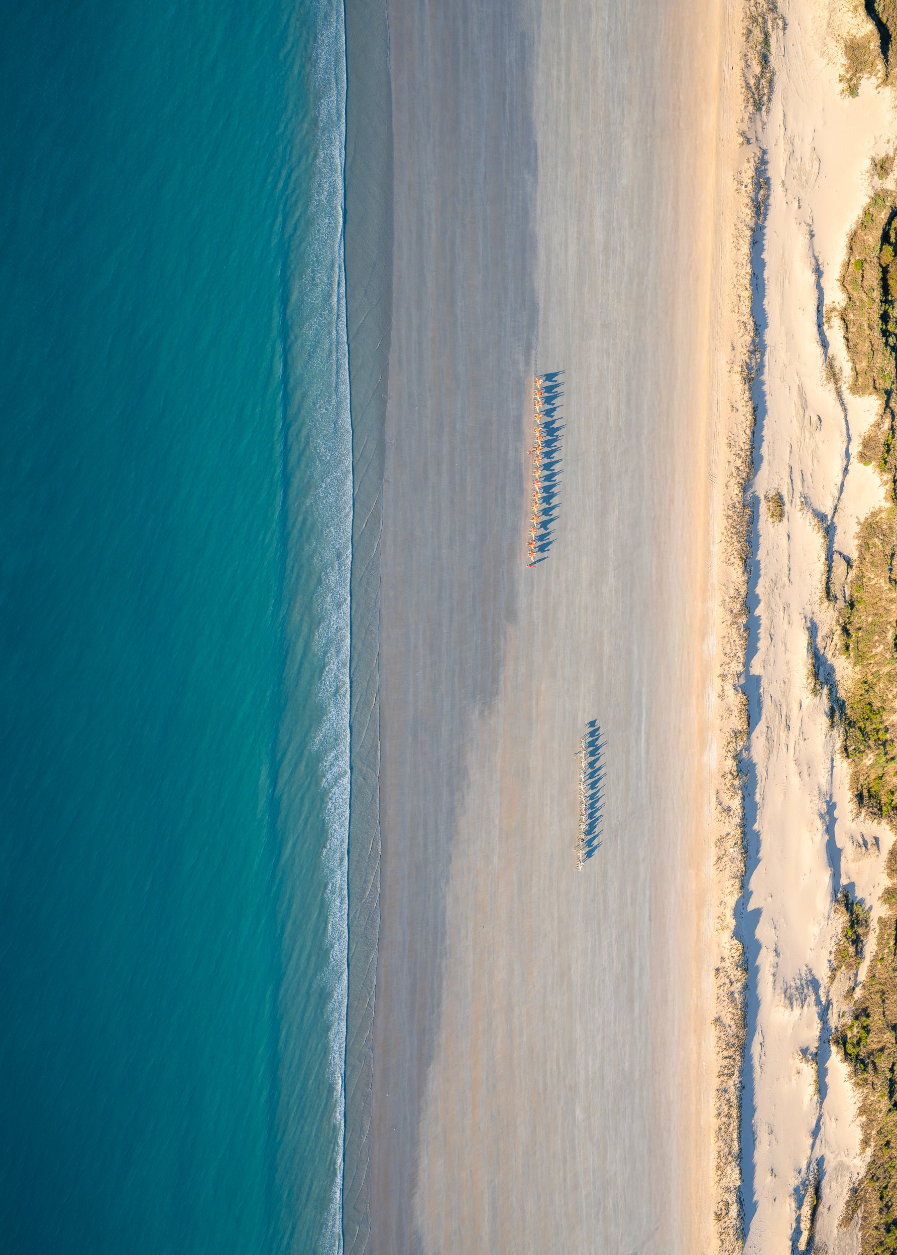 Camel Train | Cable Beach, Broome, Western Australia