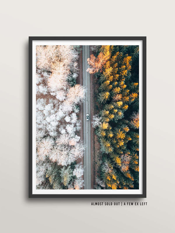 Mixed Seasons | Edition of 29 | Gysinge, Sweden