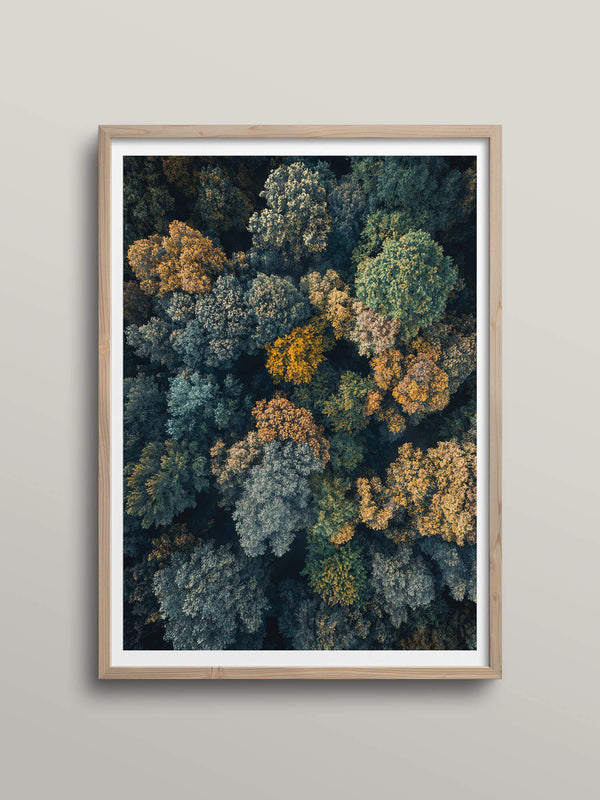 Autumn Puzzle | Tuscany, Italy