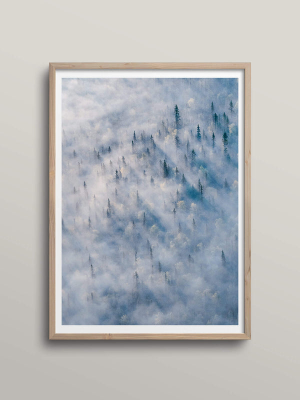 September Pines | Kvikkjokk, Sweden