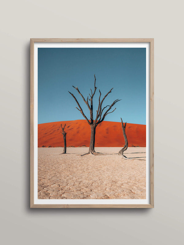 Deadvlei | Sossusvlei, Namibia