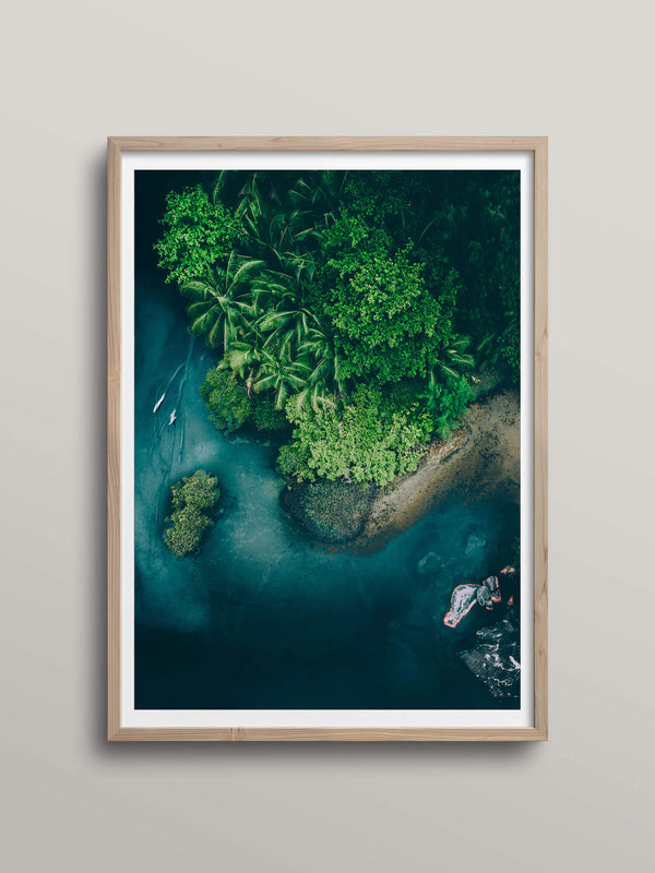 Beneath the Jungle Sky | Seychelles